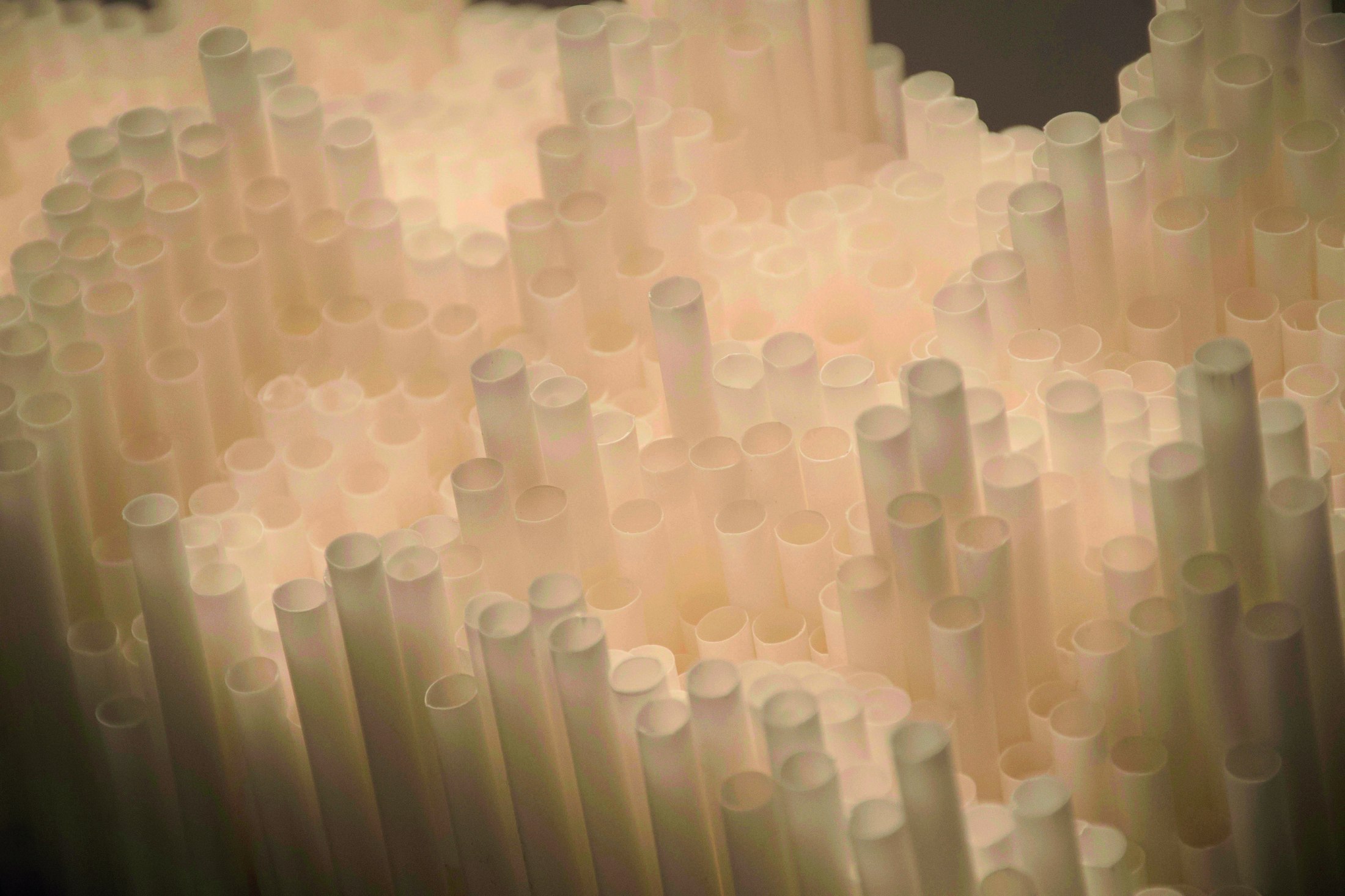 Mottainai — close-up texture of paper tubes